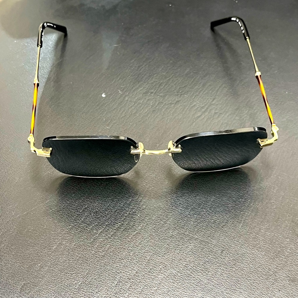 Salvatore Ferragamo SF225S Sunglasses